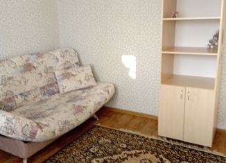 Сдается в аренду 1-комнатная квартира, 26 м2, Ульяновск, улица Толбухина, 42, Ленинский район