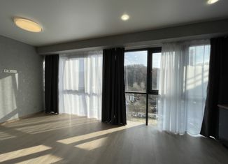 Продам однокомнатную квартиру, 34 м2, Сочи, Виноградная улица, 224/3, микрорайон Мамайка