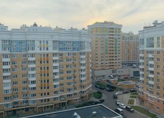 Продается 3-комнатная квартира, 86.6 м2, Москва, 6-я Радиальная улица, 3к7, станция Царицыно