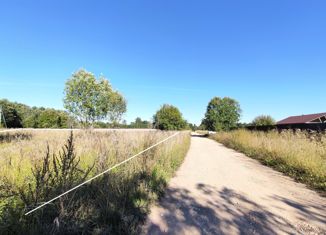 Участок на продажу, 256 сот., деревня Рыбицы, Центральная улица, 4