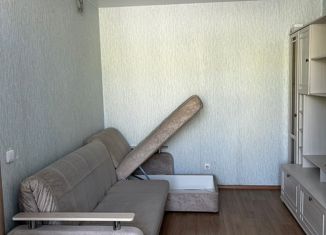 Продажа 1-комнатной квартиры, 30.1 м2, Нижегородская область, Изумрудная улица, 10к2