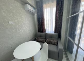 Продаю квартиру студию, 20.6 м2, Сочи, улица Калараша, 64/13к5, ЖК Семейный