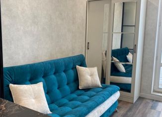 Сдаю квартиру студию, 33 м2, Тула, Оборонная улица, 102В, ЖК Smart-квартал Современник