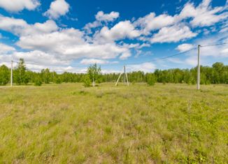 Продам земельный участок, 15 сот., село Большое Чаусово, Пионерская улица