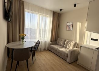 1-ком. квартира на продажу, 38 м2, Новосибирск, улица Толстого, 9, улица Толстого