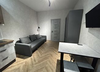 Продается однокомнатная квартира, 24.7 м2, Сочи, Орбитовская улица, 20/13, микрорайон Энергетик-Изумруд