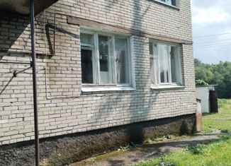 Продажа 1-ком. квартиры, 30 м2, деревня Ваганово, Пересыпная улица, 1