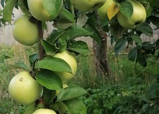 Продам земельный участок, 20 сот., деревня Примерное, деревня Примерное, 19