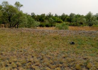 Земельный участок на продажу, 16 сот., деревня Покрово-Иртышское, Береговая улица