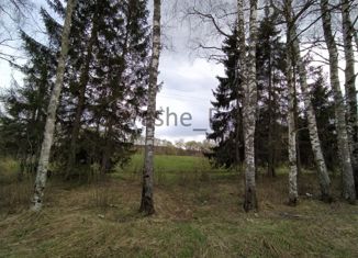 Продается участок, 30 сот., деревня Шумятино, Рябиновая улица