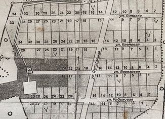 Продается земельный участок, 76 сот., починок Мирный, Берёзовая улица, 24