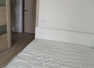 Сдам в аренду 1-комнатную квартиру, 33 м2, деревня Кудрово, Пражская улица, 14