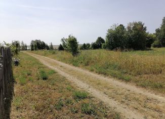 Продажа участка, 17 сот., деревня Тебикасы