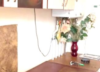 Продается 1-комнатная квартира, 21 м2, посёлок Голубево, Изумрудная улица, 19