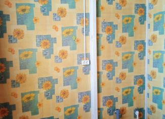 Продается дом, 45 м2, Благовещенск, Соколовская улица, 35