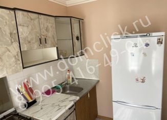 Сдам в аренду однокомнатную квартиру, 35 м2, Ставрополь, улица Михаила Морозова, 36, микрорайон №1