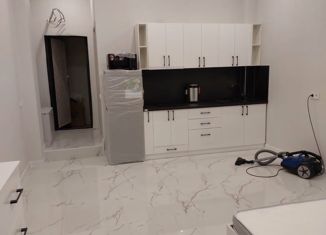 Сдача в аренду квартиры студии, 30 м2, Сочи, улица Голенева, 17/4, микрорайон Макаренко