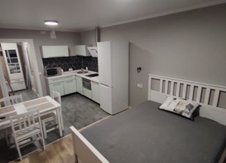 Продам квартиру студию, 25 м2, рабочий посёлок Лопатино, Солнечный бульвар, 21