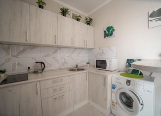 Продам квартиру студию, 25.1 м2, деревня Кисловка, улица Марины Цветаевой, 4