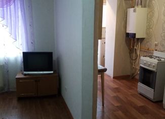 Продажа 1-комнатной квартиры, 27 м2, Михайловск, Любимая улица, 7
