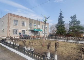 Продаю дом, 460 м2, село Замелетеновка, улица Ленина, 43