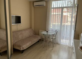 Сдам квартиру студию, 23 м2, Сочи, Пятигорская улица, 88/28, микрорайон Соболевка