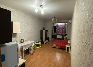 Продам квартиру студию, 30.3 м2, посёлок Российский, Альпийская улица, 3