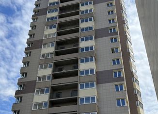 Продаю квартиру студию, 30 м2, посёлок Парголово, Заречная улица, 13к2, ЖК На Заречной