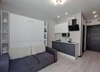 Продаю квартиру студию, 30 м2, Краснодар, Степная улица, 1/1, ЖК Мозаика