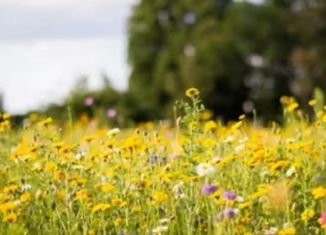 Продаю участок, 8 сот., садовое товарищество Подкова, садовое товарищество Подкова, 32