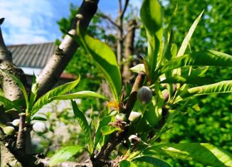 Продам земельный участок, 11.19 сот., село Пшада, Горная улица, 18