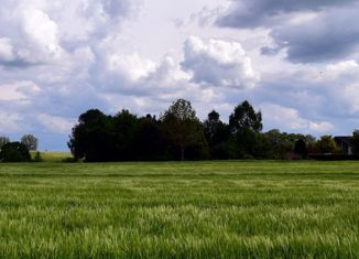 Земельный участок на продажу, 9.7 сот., село Степное Полеологово, улица Дружбы