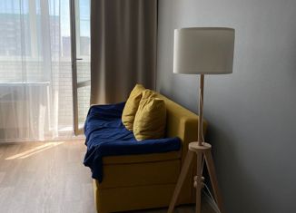 Продажа квартиры студии, 30 м2, Новосибирск, улица Герцена, 1/2, улица Герцена