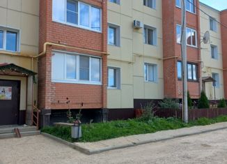 Продам однокомнатную квартиру, 33 м2, посёлок Щедрино, Каштановая улица, 23