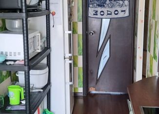 Продажа 1-ком. квартиры, 30.4 м2, Камышлов, улица Красных Партизан, 52