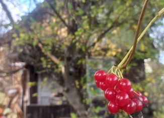 Дом на продажу, 28 м2, Обнинск, СНТ Прогноз-1, 47