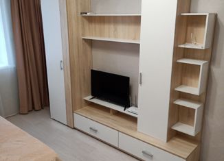 Сдам 1-ком. квартиру, 40 м2, Ростов-на-Дону, Горсоветская улица, 49/1