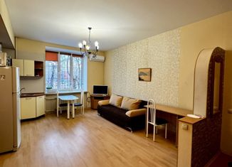Аренда 2-комнатной квартиры, 44 м2, Екатеринбург, улица Луначарского, 48, Железнодорожный район