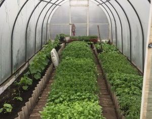 Продаю дом, 160 м2, село Абсалямово, улица Пушкина