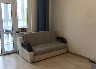 Квартира на продажу студия, 27 м2, деревня Анкудиновка, ЖК КМ Анкудиновский Парк