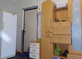 3-комнатная квартира на продажу, 60.4 м2, Санкт-Петербург, улица Жени Егоровой, 5к1, муниципальный округ Шувалово-Озерки