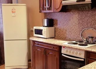 Продажа однокомнатной квартиры, 45 м2, Санкт-Петербург, Ново-Александровская улица, 14, Ново-Александровская улица