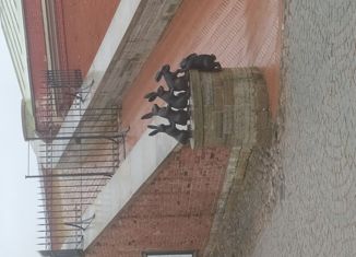 Продажа земельного участка, 38 сот., село Скворчиха