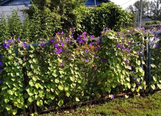 Продаю дом, 105 м2, село Большой Мичкас, Садовая улица, 7