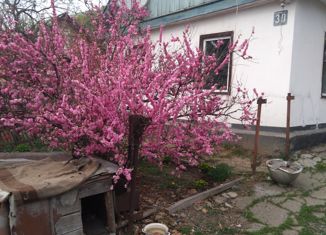 Продажа дома, 37 м2, село Новая Сила, Центральная улица, 30