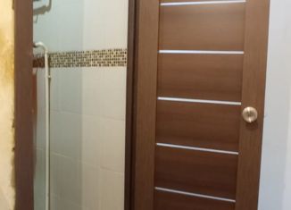 Продажа 2-комнатной квартиры, 42.8 м2, деревня Алексеевка, Центральная улица, 61