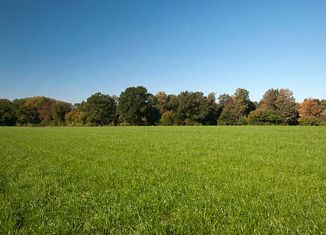 Продается земельный участок, 10 сот., ДНП УК Усадьба, Александрийская улица