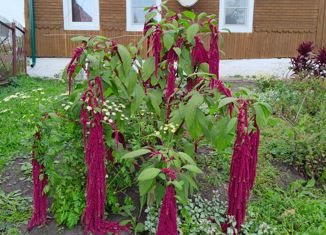 Продается дом, 67.6 м2, село Костёнково, Ключевая улица