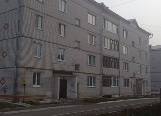 Продается однокомнатная квартира, 33.4 м2, посёлок городского типа Васильево, Лагерная улица, 5