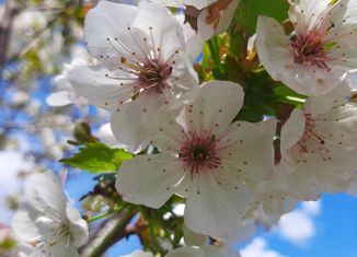 Продается дом, 256 м2, село Соломино